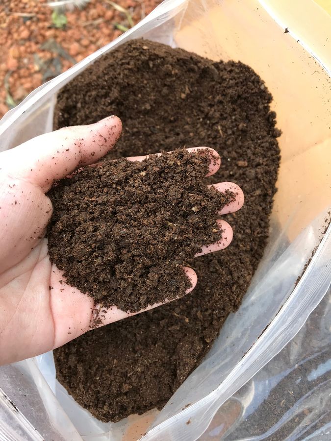 guano pour les tomates